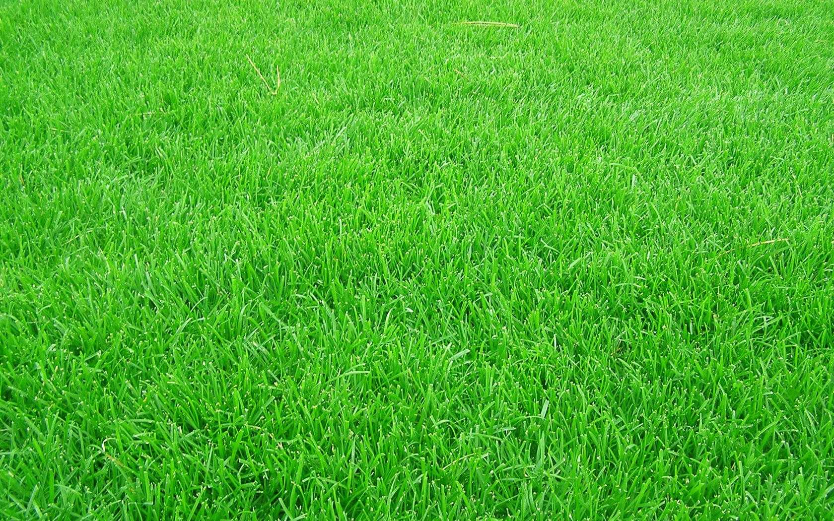 VPS虚拟主机入门级价格区间分析