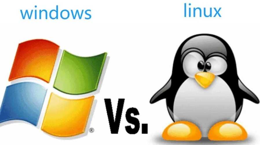 Windows与Linux虚拟主机技术对比