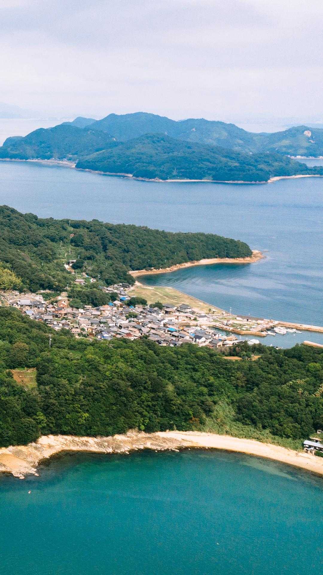 高防云服务器租用服务受市场关注