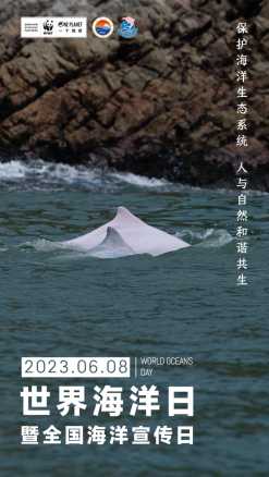 免实名认证!华东浙江云服务器操作系统极速上线 免实 名认 证华 东浙 江云 服务 器操 作系 第1张 免实名认证!华东浙江云服务器操作系统极速上线 免实 名认 证华 东浙 江云 服务 器操 作系 第1张