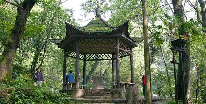 免费云服务试用一年取消流程及注意事项