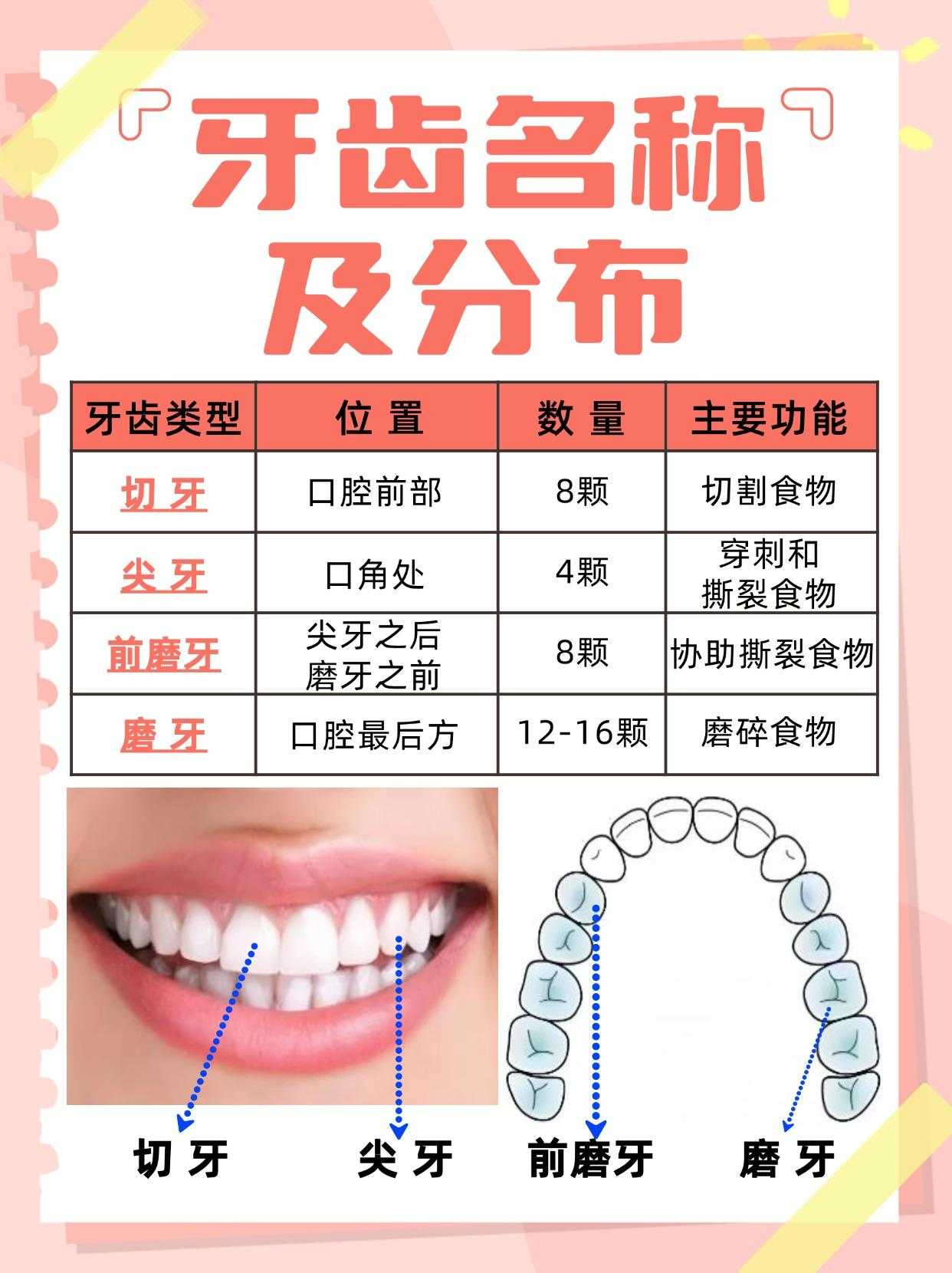 免费手机虚拟机下载全攻略 多系统流畅运行揭秘! 免费 手机 虚拟 机下 载全 攻略 多系 统流 第1张 免费手机虚拟机下载全攻略 多系统流畅运行揭秘! 免费 手机 虚拟 机下 载全 攻略 多系 统流 第1张