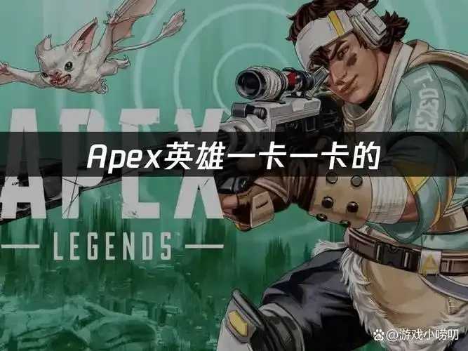 Apex科技卡网，Apex科技卡网最新资讯