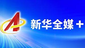 Apex英雄开透视不封号方法全解析，教你如何安全使用透视辅助工具攻略秘籍