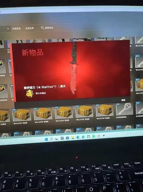 CSGO开箱，网秒发  CS GO 开箱 网秒 发 第1张
