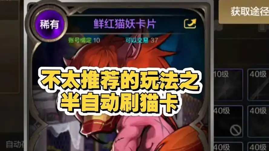 dnf手游刷猫卡脚本，高效刷猫卡脚本教程，游戏玩家指南