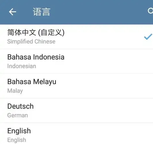 telegram怎么设置中国语言，完整教程
