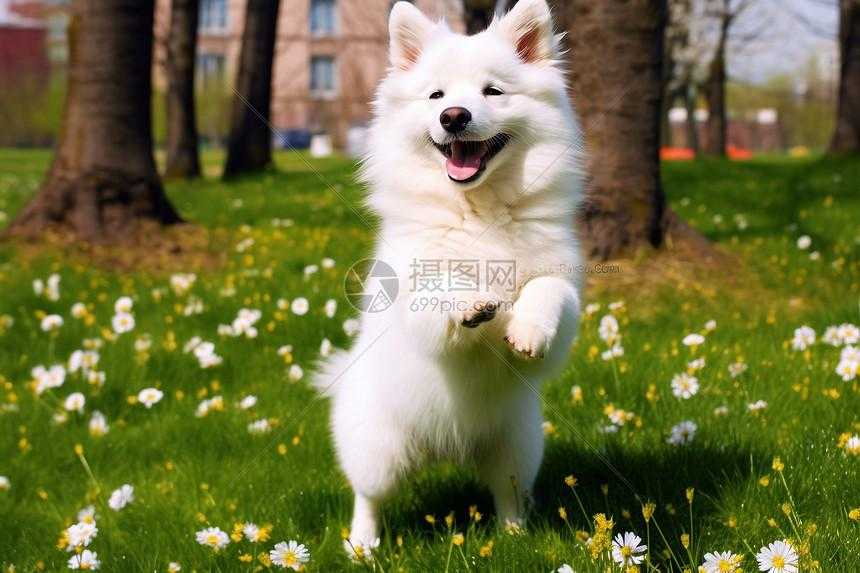 和平精英直装公益版下载，畅享免费福利与便捷安装