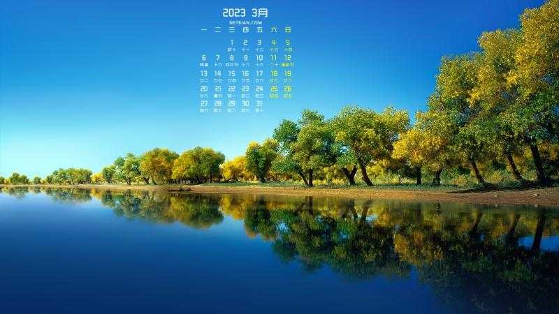 QQ炫舞辅助宠物全面指南，高效养成与实用技巧分享