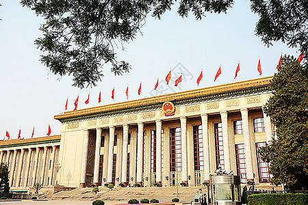 QQ炫舞自动挂机跳舞软件教程与技巧分享