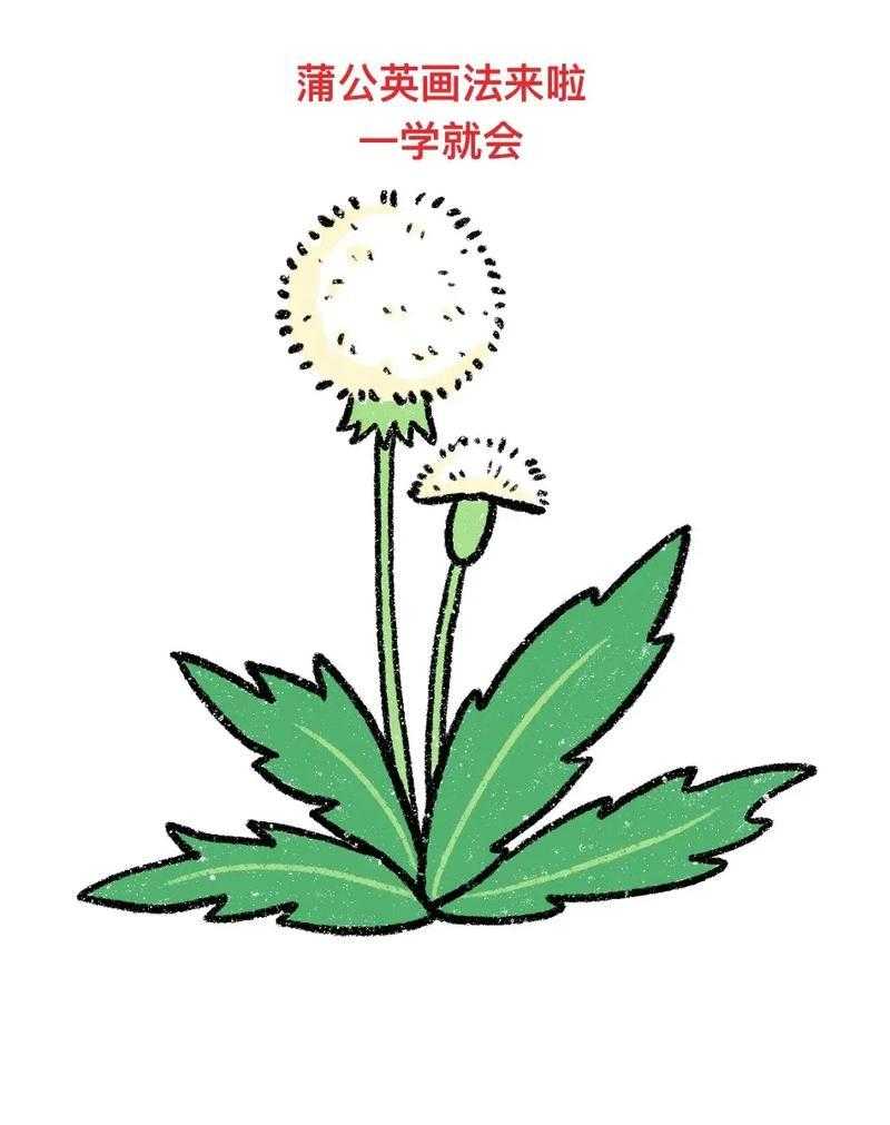 暗黑破坏神之绿色天灾，终极攻略与版本全解析