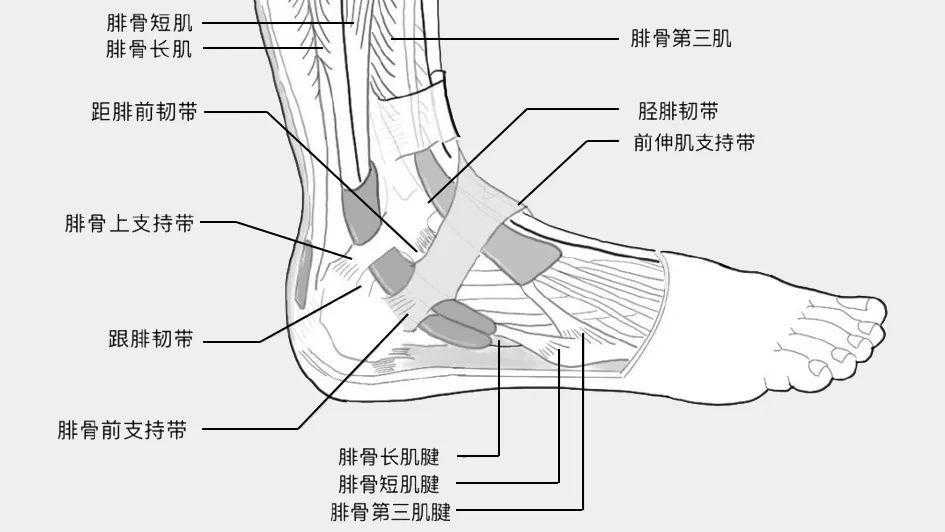 暗黑破坏神不朽官网，最新版本下载地址及游戏攻略资讯