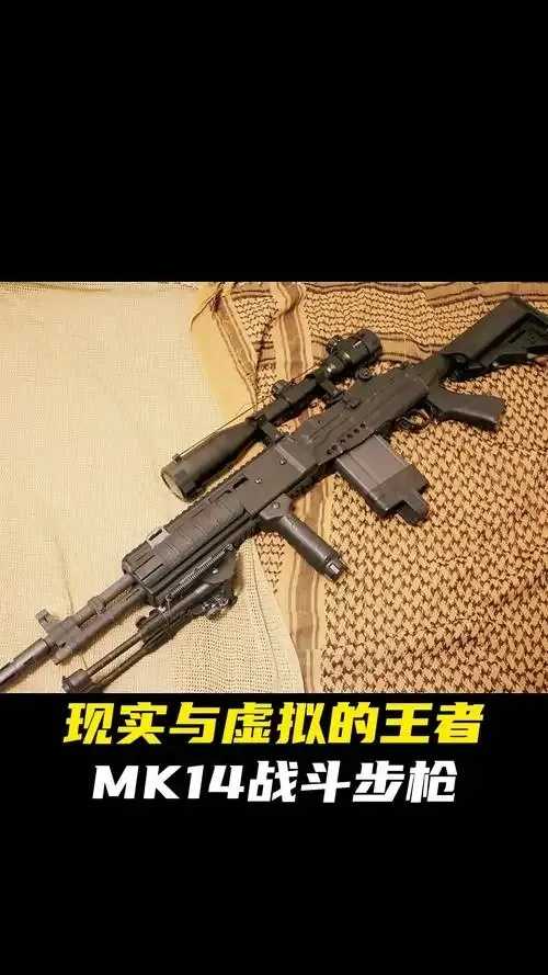 MK14公益直装 PuBG4.0技术解析与公益行动指南  MK 14 公益 直装 Pu BG 40 技术 第1张