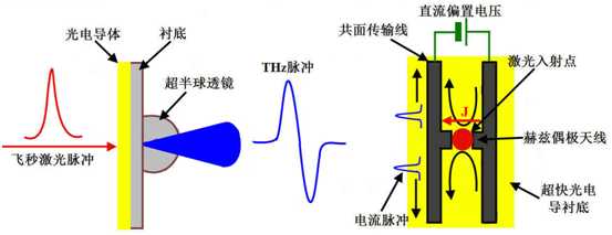 第5人格直播，最新动态与互动体验全解析