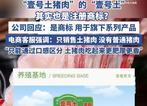 第五人格科技辅助,实用攻略与工具评测 第五 人格 科技 辅助 实用 攻略 与工 具评 第1张 第五人格科技辅助,实用攻略与工具评测 第五 人格 科技 辅助 实用 攻略 与工 具评 第1张