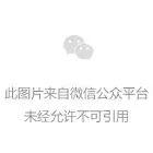 第五人格专用透视软件下载使用教程及风险提示