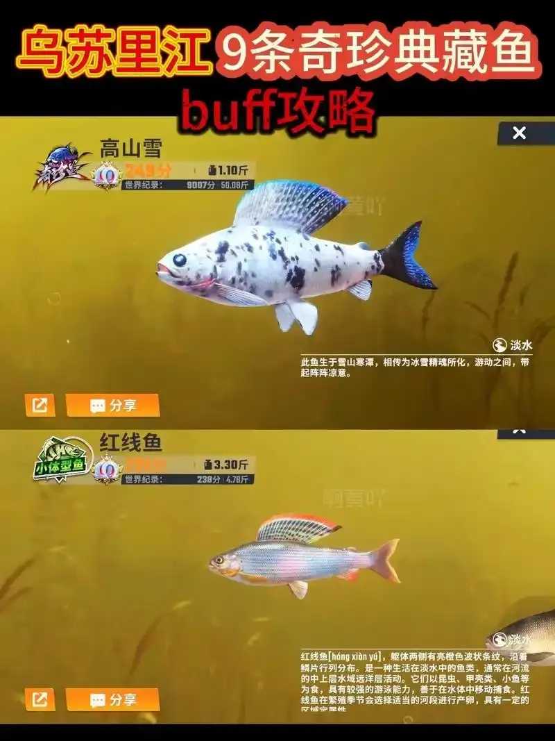 钓鱼大师,buff外挂使用技巧与破解指南