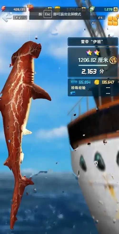 钓鱼发烧友自动钓鱼辅助设备使用指南