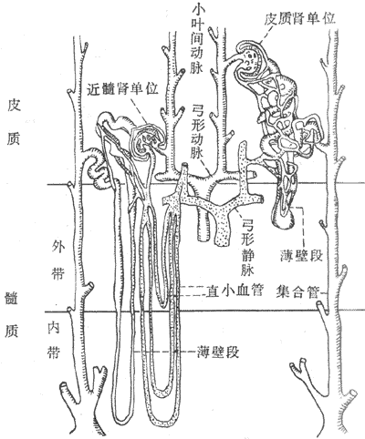 高能英雄冰霜精灵实战攻略