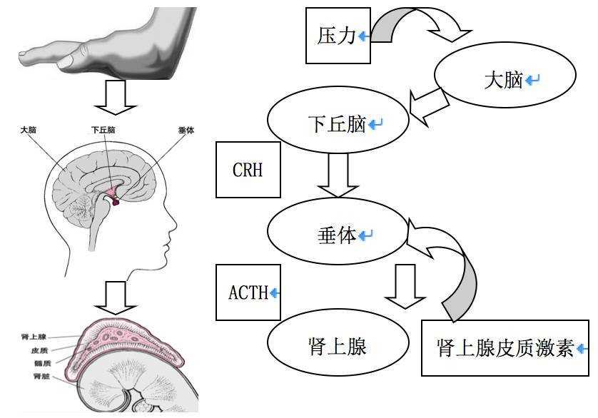 高能英雄科技游戏公司,高能英雄游戏科技公司最新动态 高能 英雄 科技 游戏 公司 第1张 高能英雄科技游戏公司,高能英雄游戏科技公司最新动态 高能 英雄 科技 游戏 公司 第1张