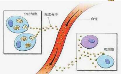 高能英雄下载官方网站