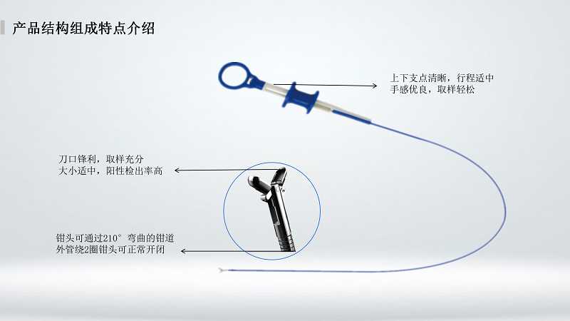 光遇root权限怎么开启，详细教程步骤与注意事项