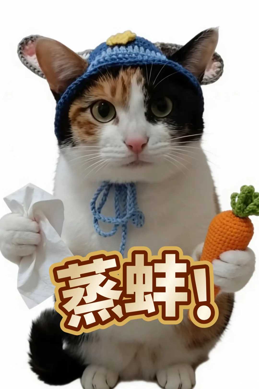 光遇公益内核，神秘代码的隐藏与公益解读