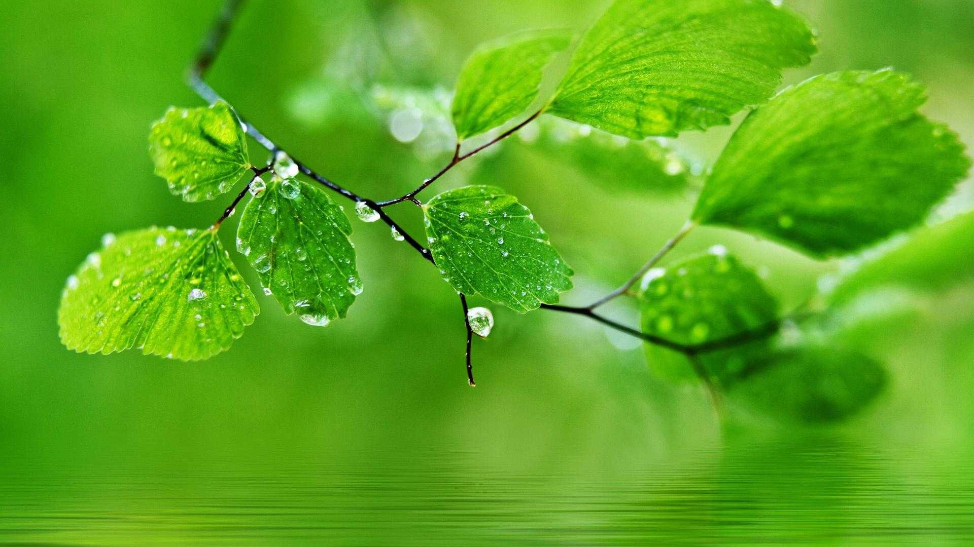 鬼谷八荒最强科技，权威解析与创新应用场景全揭秘