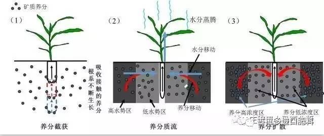 和平精英》破解版，下载安装教程及最新版本下载指南