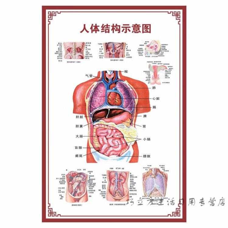 和平精英电脑版免费透视辅助器下载教程