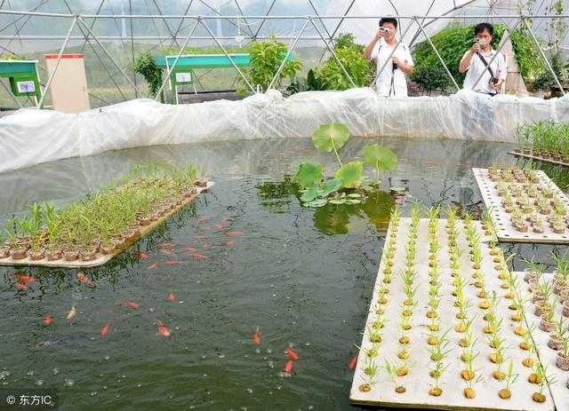 和平精英电脑外挂免费下载不封号攻略技巧  和平 精英 电脑 外挂 免费 下载 不封 号攻 第1张