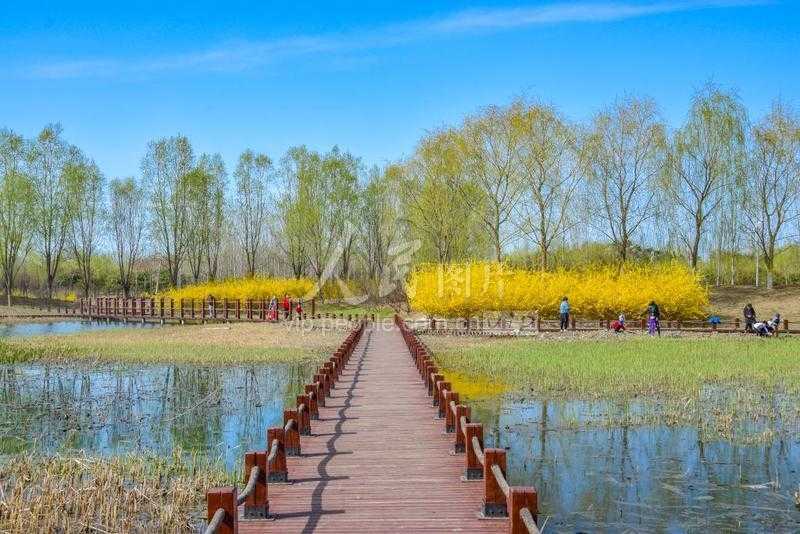和平精英辅助按钮吸盘使用技巧, 游戏优化指南与实战攻略