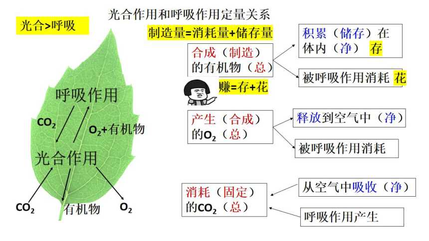 和平精英开挂软件免费下载攻略与技巧分享  和平 精英 开挂 软件 免费 下载 攻略 与技 第1张
