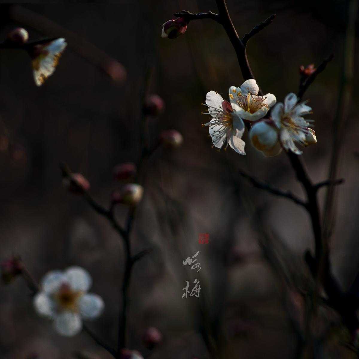 和平精英透视0元挂苹果,免费下载攻略技巧 和平 精英 透视 0元 挂苹 果免 费下 载攻 第1张 和平精英透视0元挂苹果,免费下载攻略技巧 和平 精英 透视 0元 挂苹 果免 费下 载攻 第1张