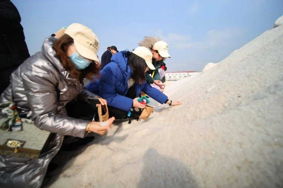 和平精英透视挂辅助免费防作弊攻略与外挂检测方法