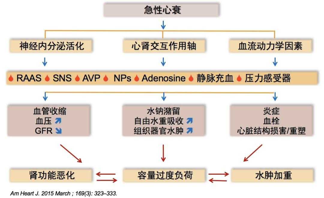 和平精英直装免卡密下载攻略,新手必备快速安装技巧