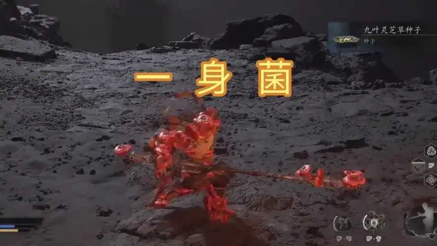 黑神话猴头菌哪里刷的多,高性价比地图推荐