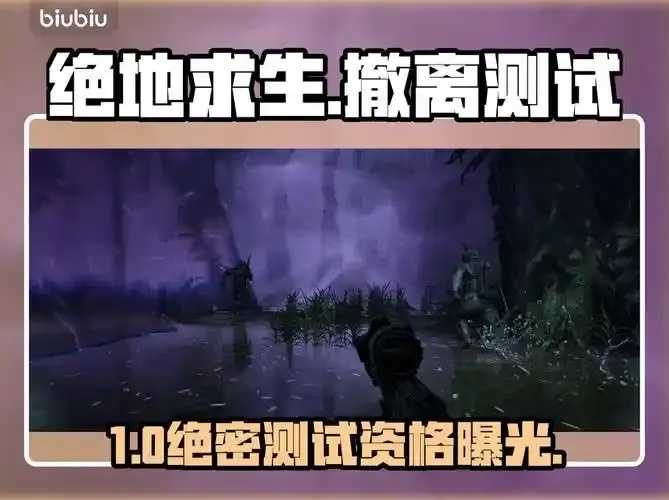 黑域，配合什么使用，全攻略与适用场景解析