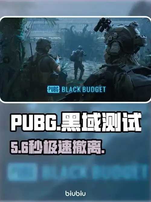 黑域插件，黑域插件一键优化生成指南