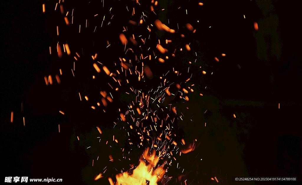 火焰鸟直装v11.9稳定版，最新版本下载安装教程