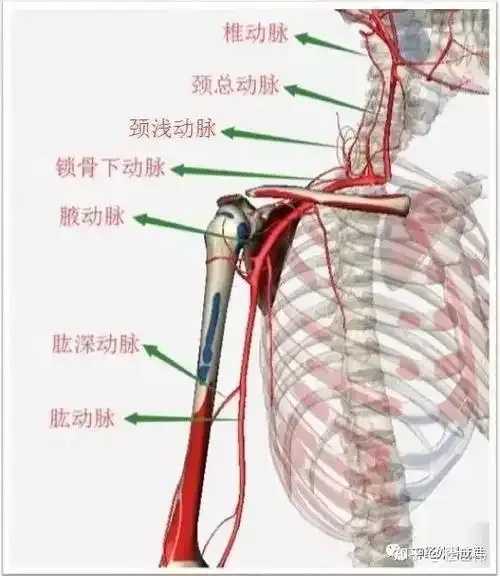 锁血，锁血机制详解：游戏生存技巧与实战应用