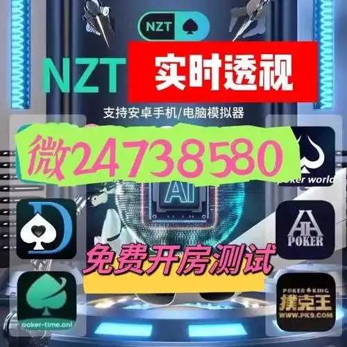透视挂英文翻译及技术解析指南