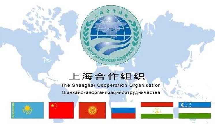国际服辅助Apk最新版安全下载与使用指南