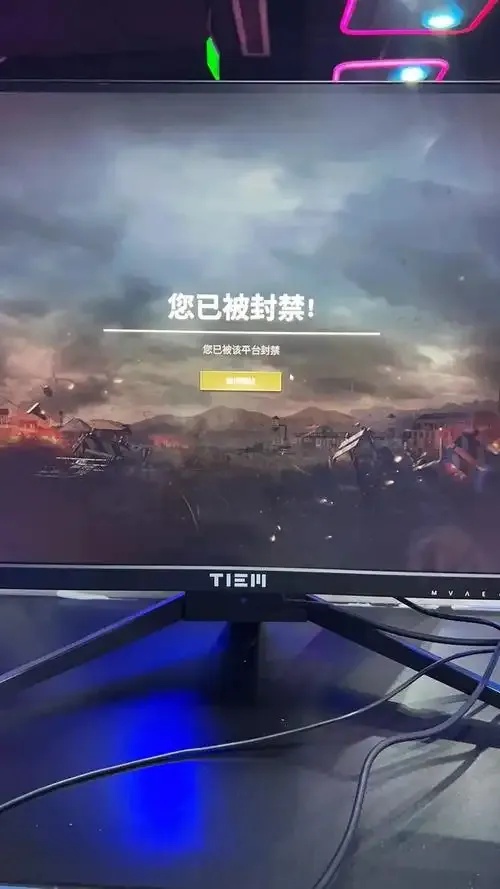 PUBG公益直装版下载指南公益项目解析