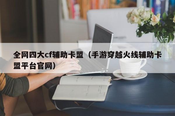 全网最低辅助卡密下载指南
