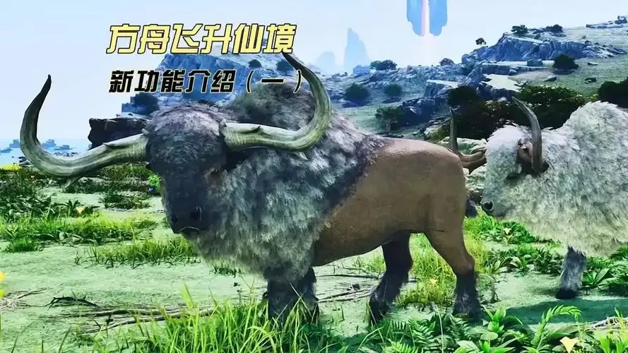方舟飞升有什么好处核心优势解析