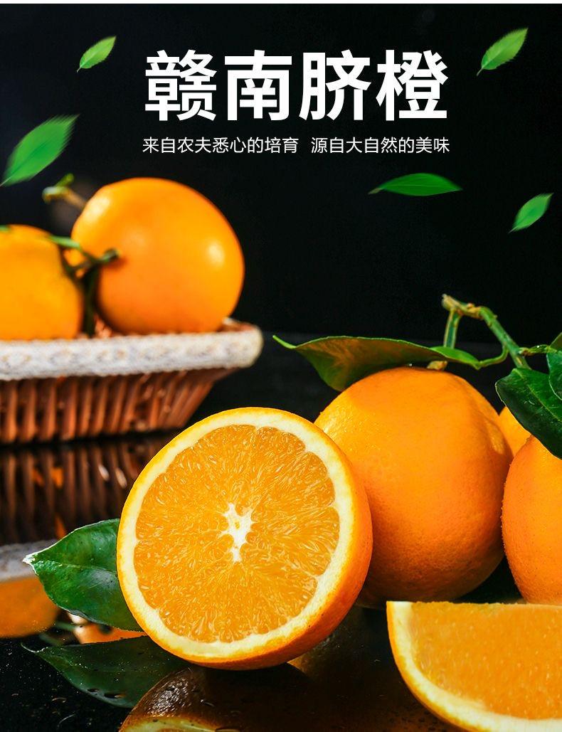 橙子直装v1.9高效稳定用户评价评测