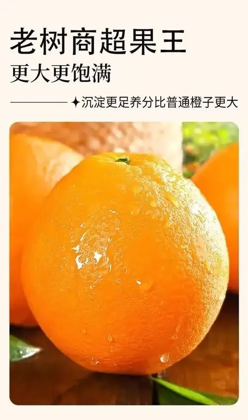 橙子直装V1.8正式发布：性能优化与功能升级显著提升用户体验