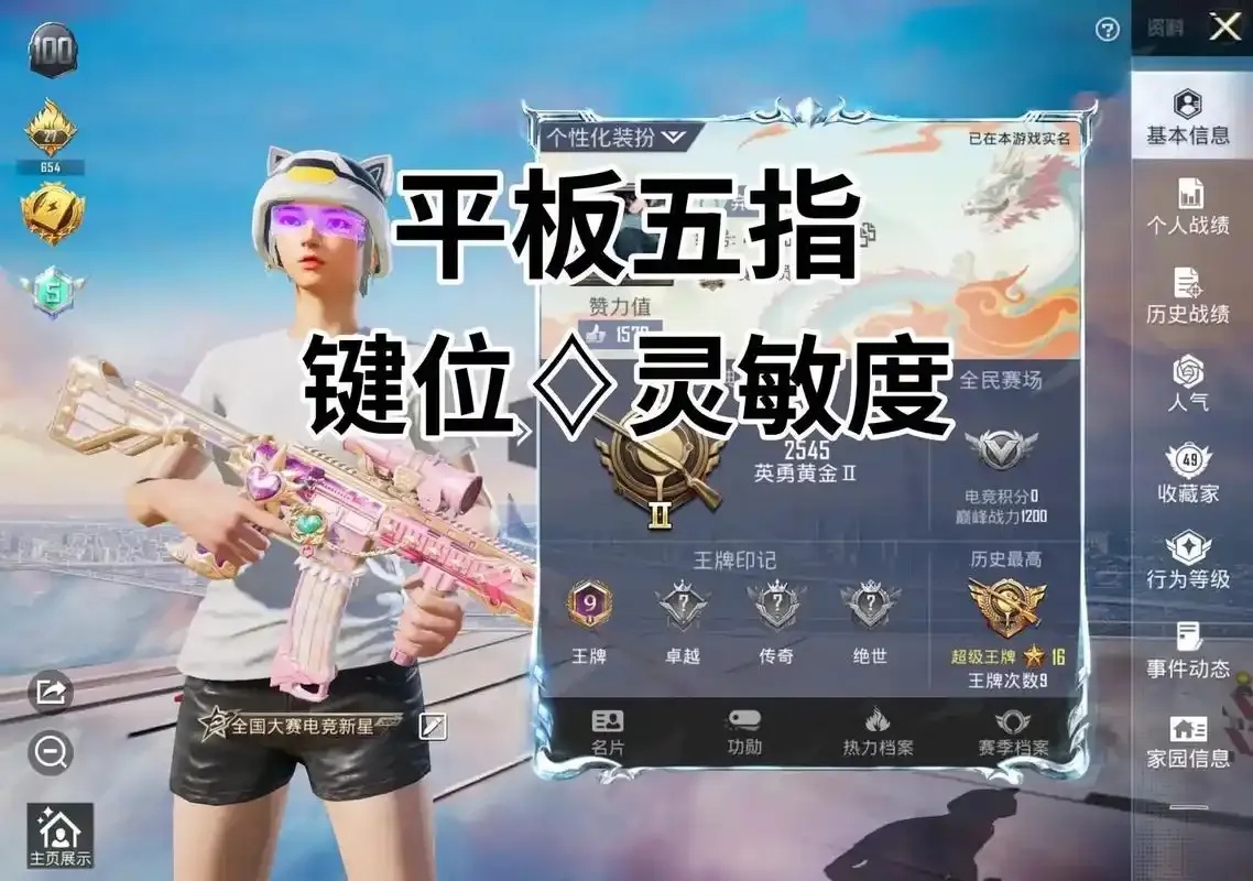 和平精英直装推荐稳定版下载指南