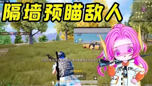 和平精英透视方法及使用攻略